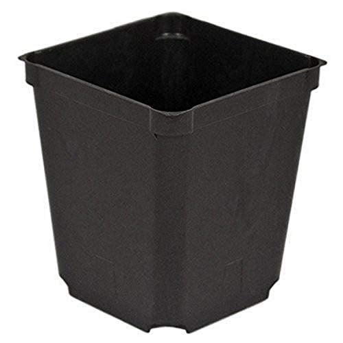 McCONKEY Square Nursery Pot Case of 60 McCONKEY Square Nursery Pot Case of 60